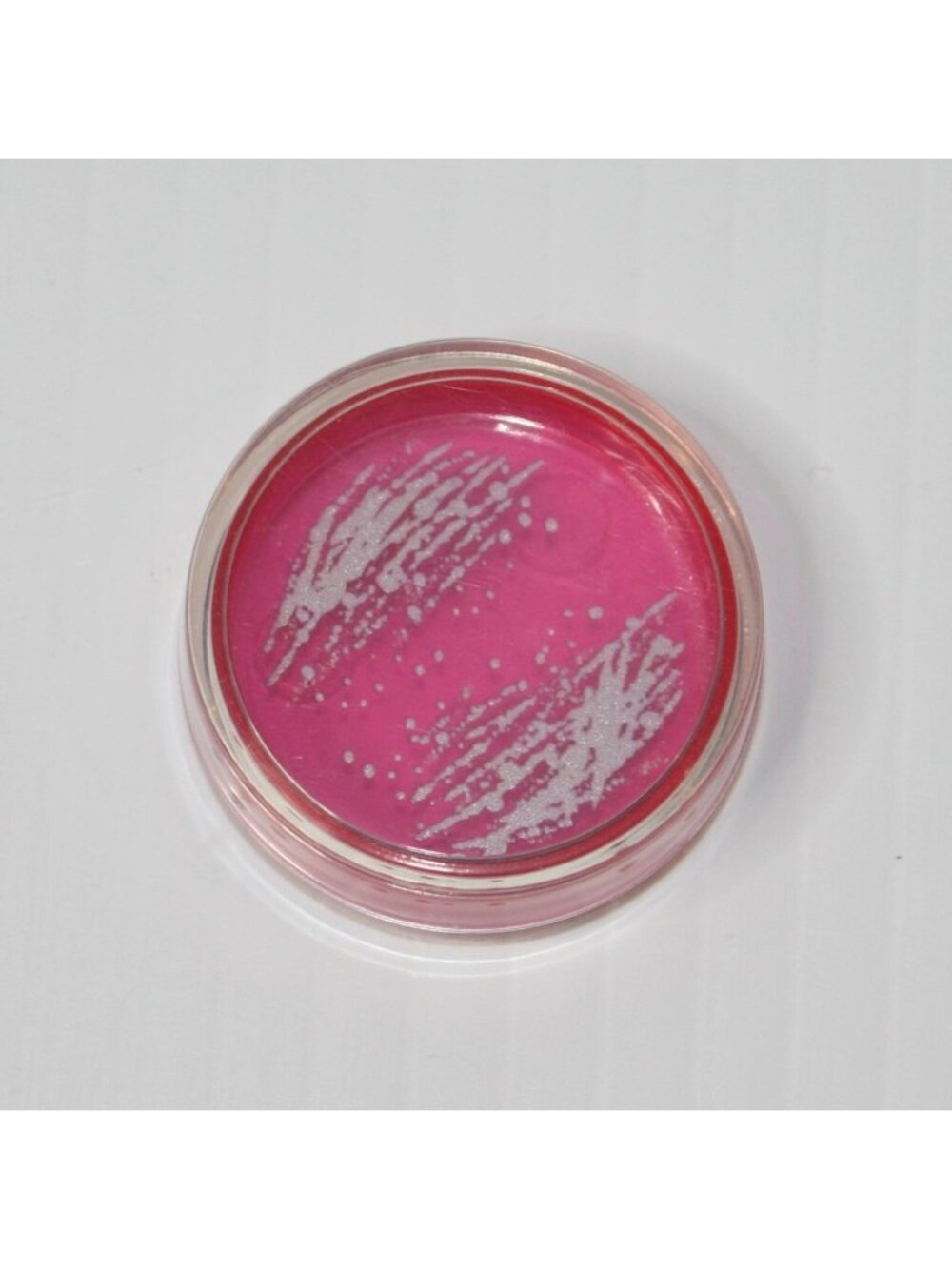 American Girl GOTY 2018 Luciana Pretend Pink Petri Dish from Mars Habitat
